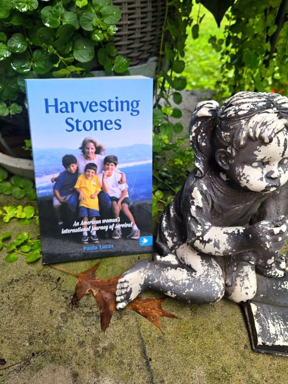 Harvesting Stones: An American Woman's International Journey of Survival by Paul